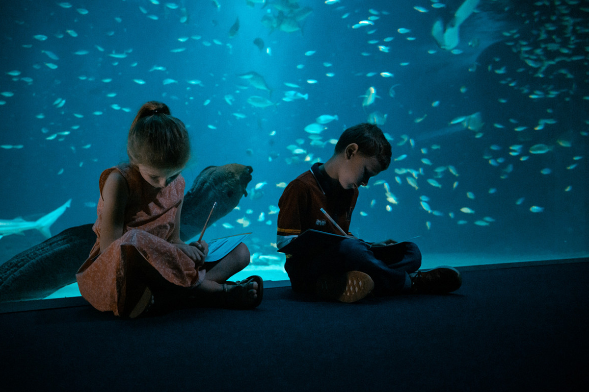 Entreeticket Nausicaá, het grootste aquarium van Europa