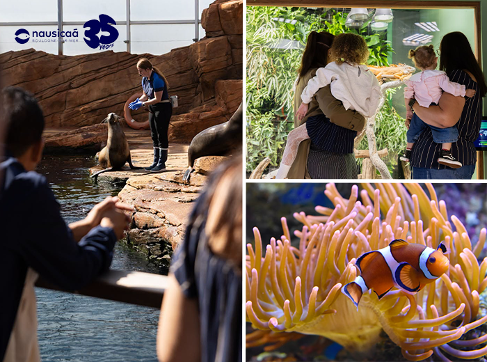 Toegangsticket Nausicaá, het grootste aquarium van Europa