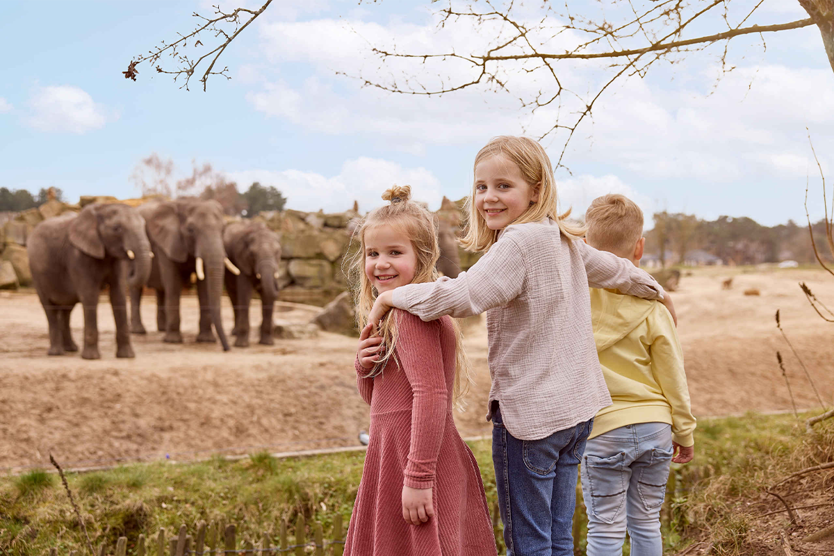 Entreeticket Safaripark Beekse Bergen