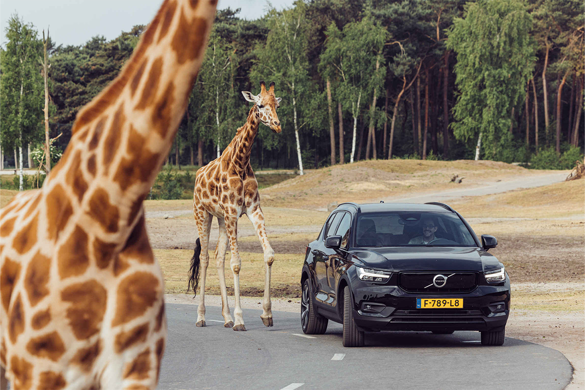Entreeticket Safaripark Beekse Bergen