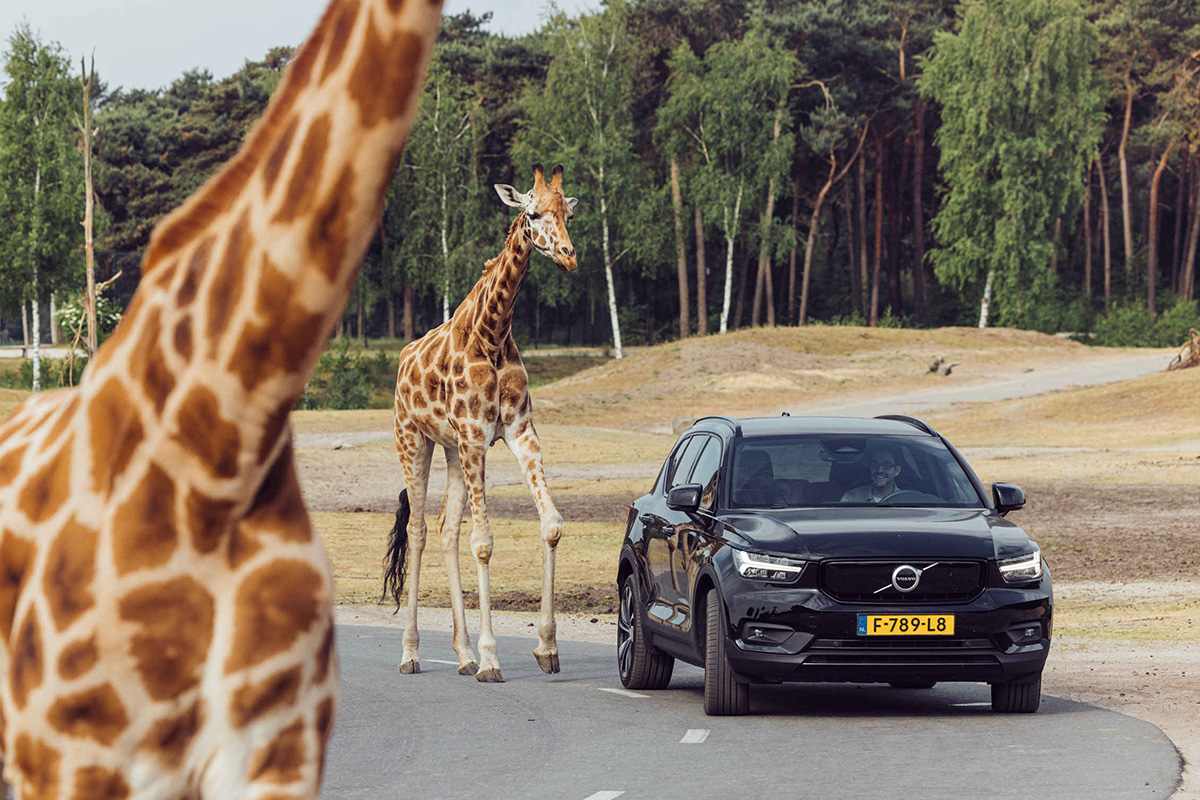 Entreeticket Safaripark Beekse Bergen