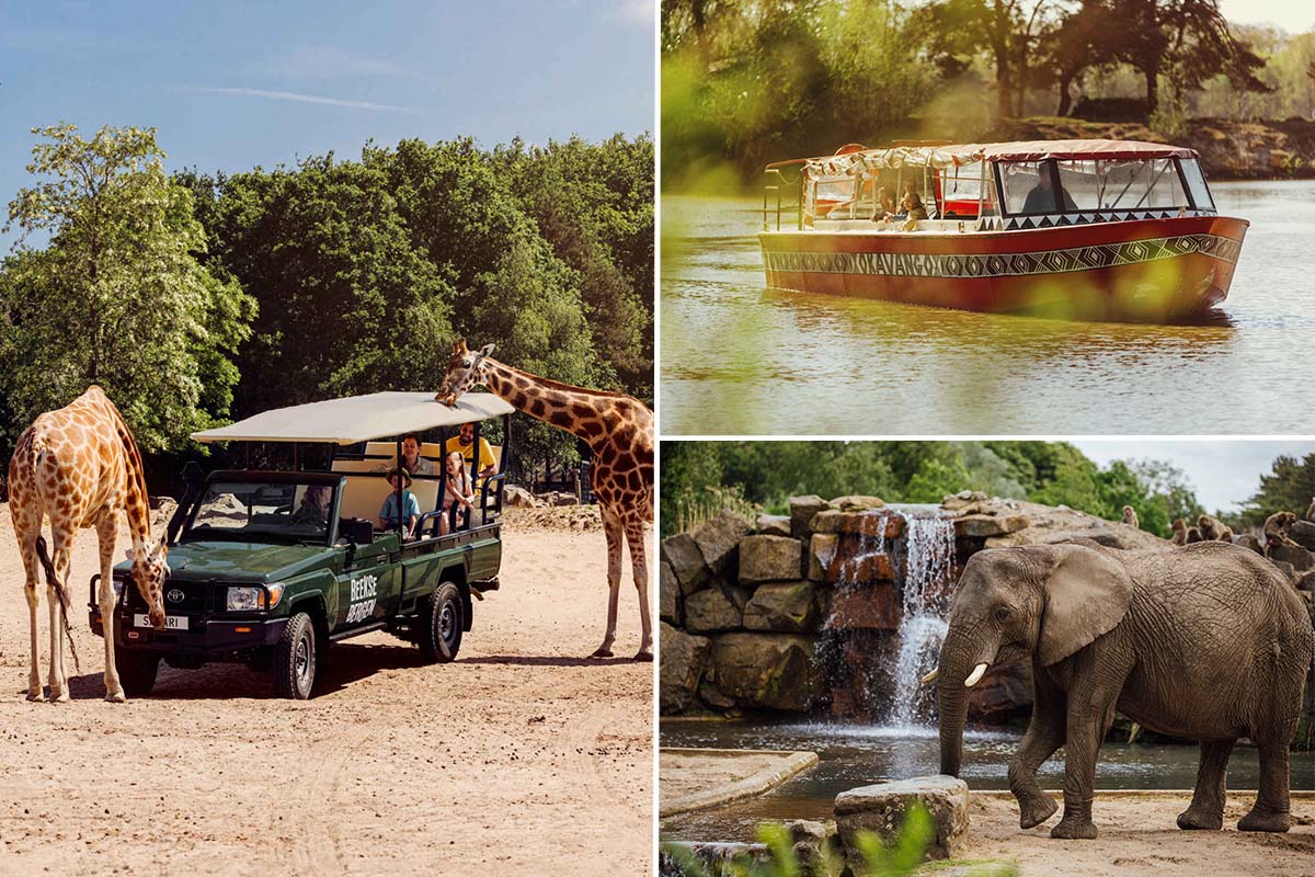 Entreeticket Safaripark Beekse Bergen