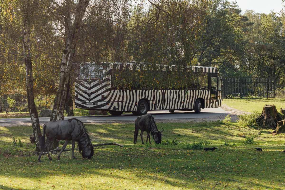 Entreeticket Safaripark Beekse Bergen