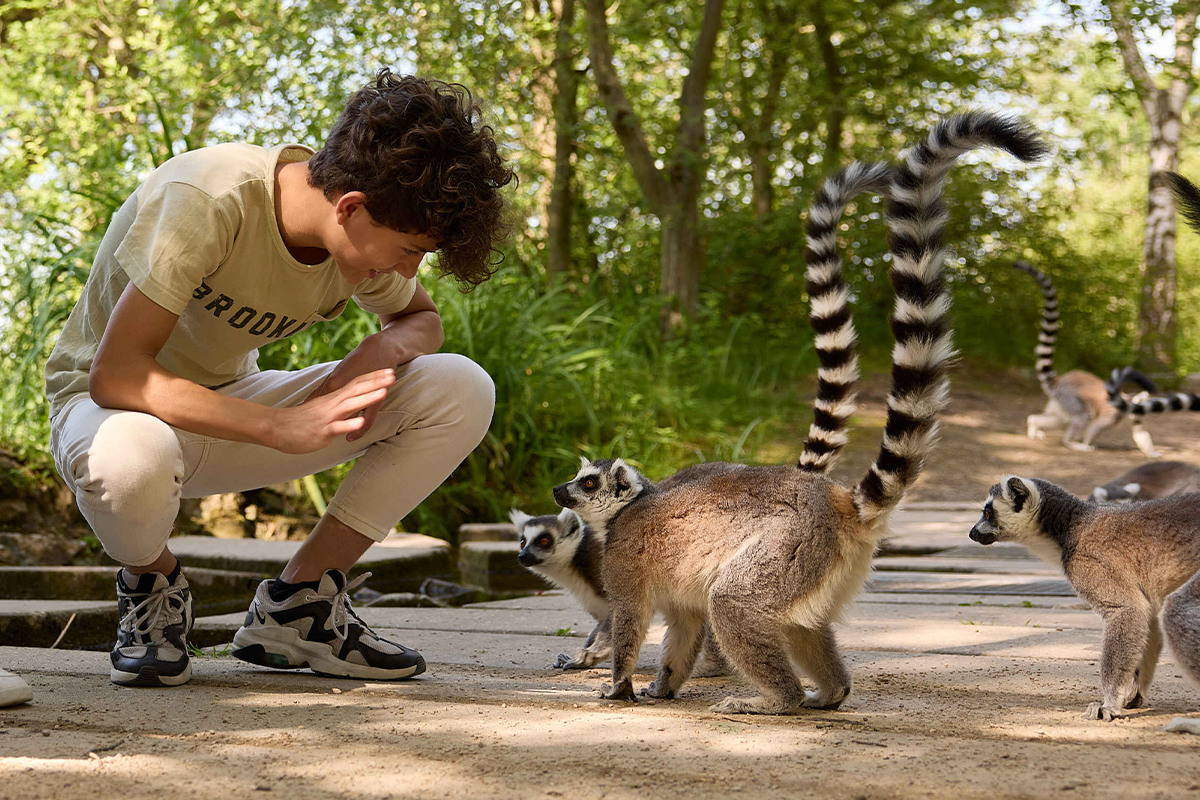 Entreeticket Safaripark Beekse Bergen
