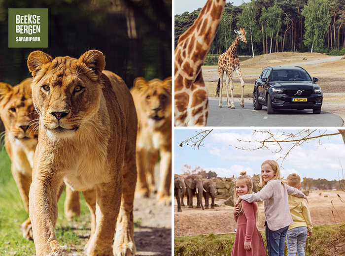 Entreeticket Safaripark Beekse Bergen