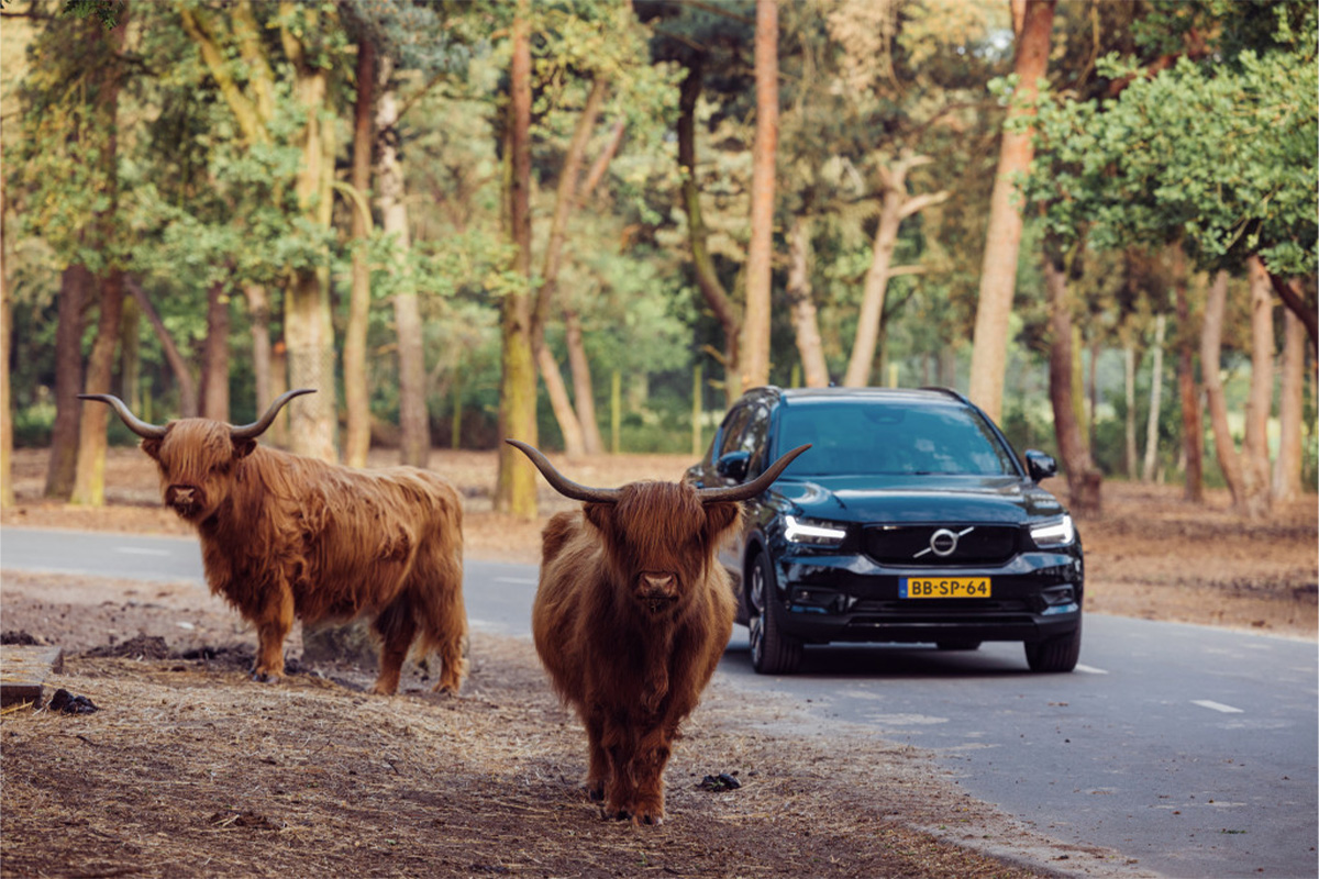 Entreeticket Safaripark Beekse Bergen