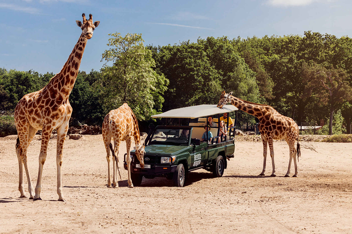 Entreeticket Safaripark Beekse Bergen