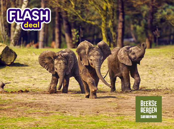 Entreeticket Safaripark Beekse Bergen