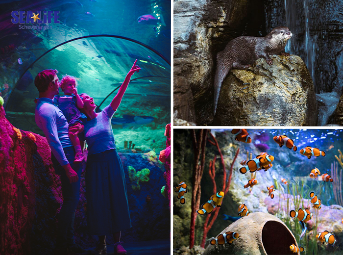 Admission ticket SEA LIFE Scheveningen