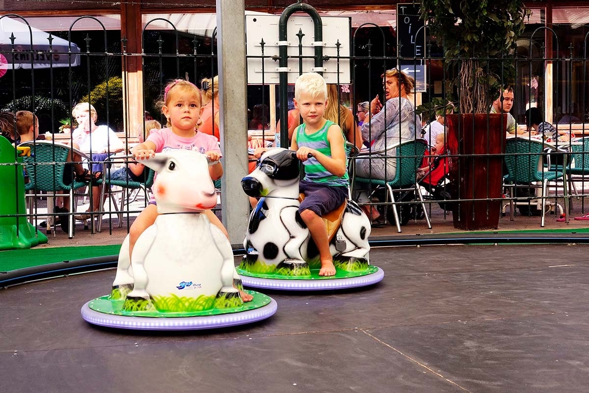 Entreeticket Speelpark Hoge Boekel