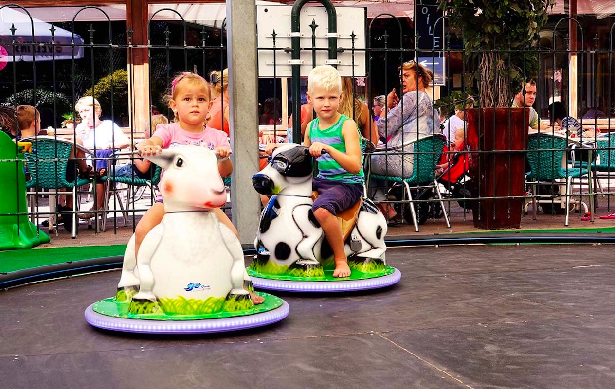 Entreeticket Speelpark Hoge Boekel