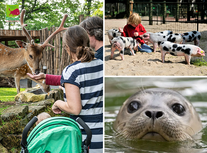 Entreeticket Tierpark Nordhorn