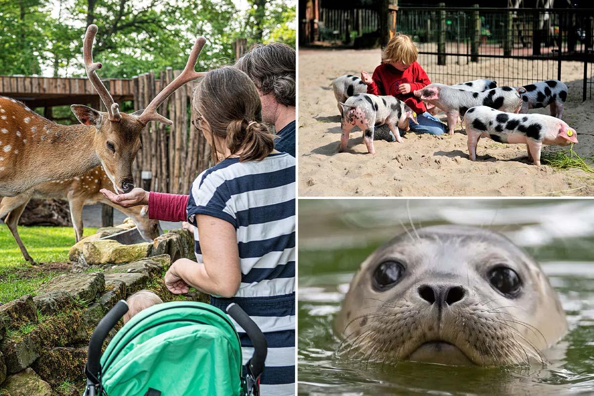 Entreeticket Tierpark Nordhorn