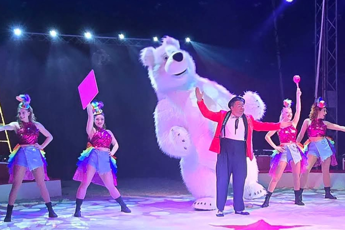 Entreeticket Wintercircus Pallasso