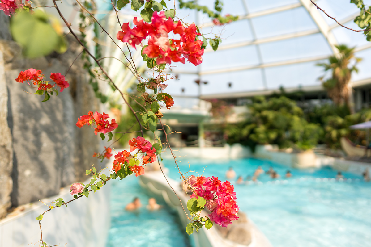 Entree zwemparadijs Aquafun bij Sunparks Oostduinkerke 