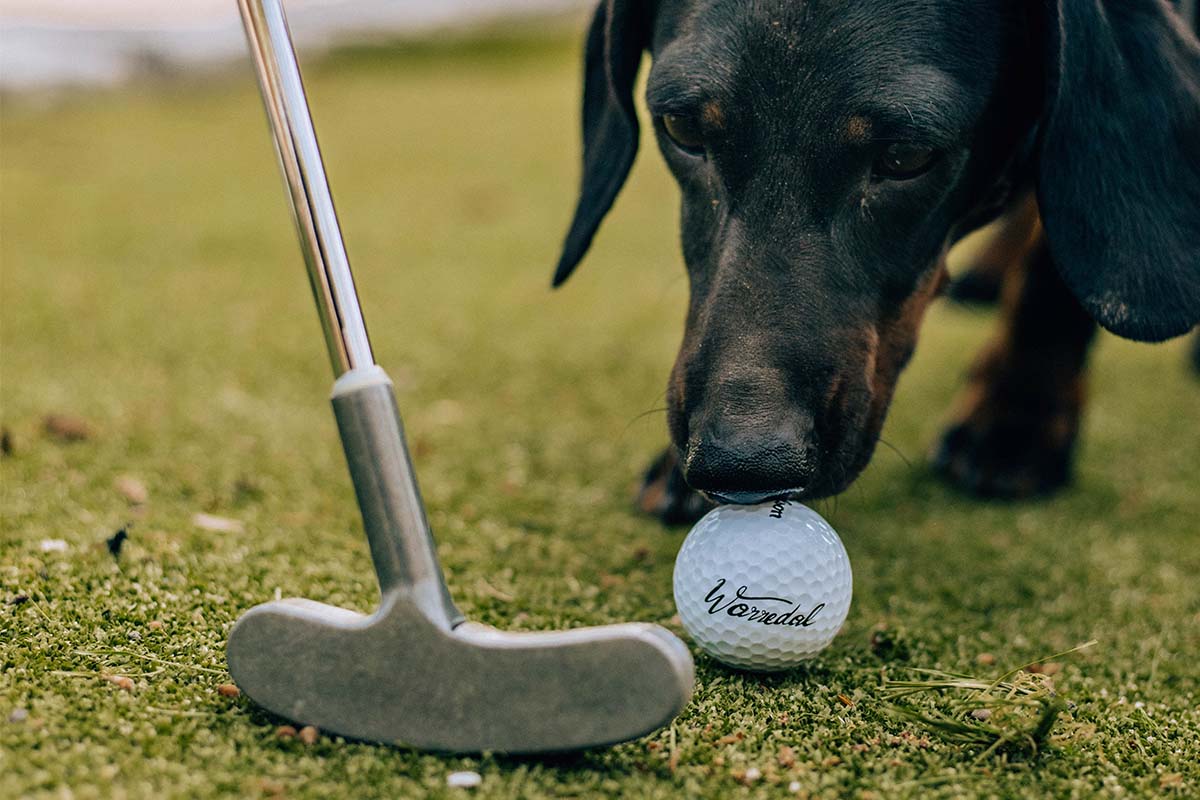 Entreeticket Adventure Minigolf in Warredal