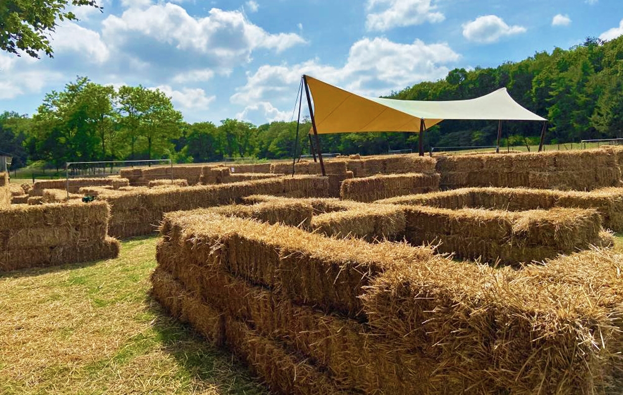 Entreeticket Wereldmuseum Berg en Dal