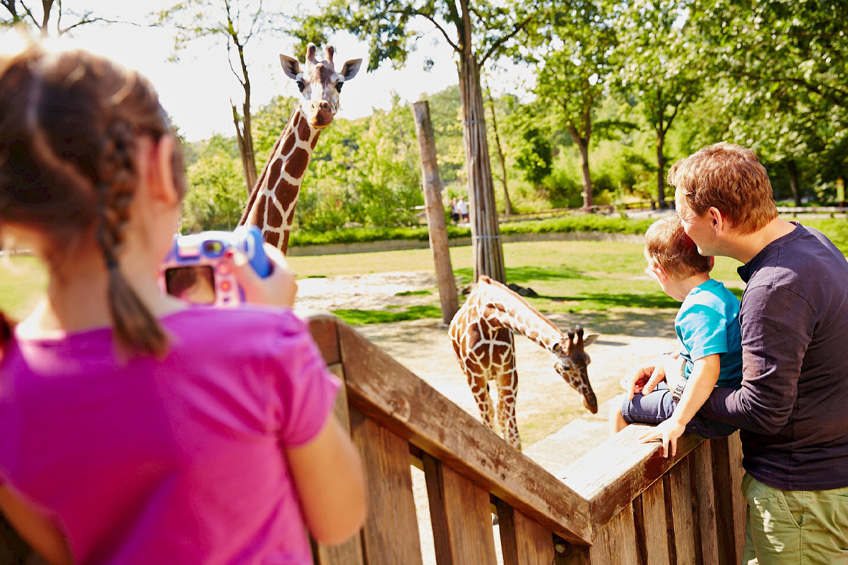 Entreeticket Allwetterzoo Münster
