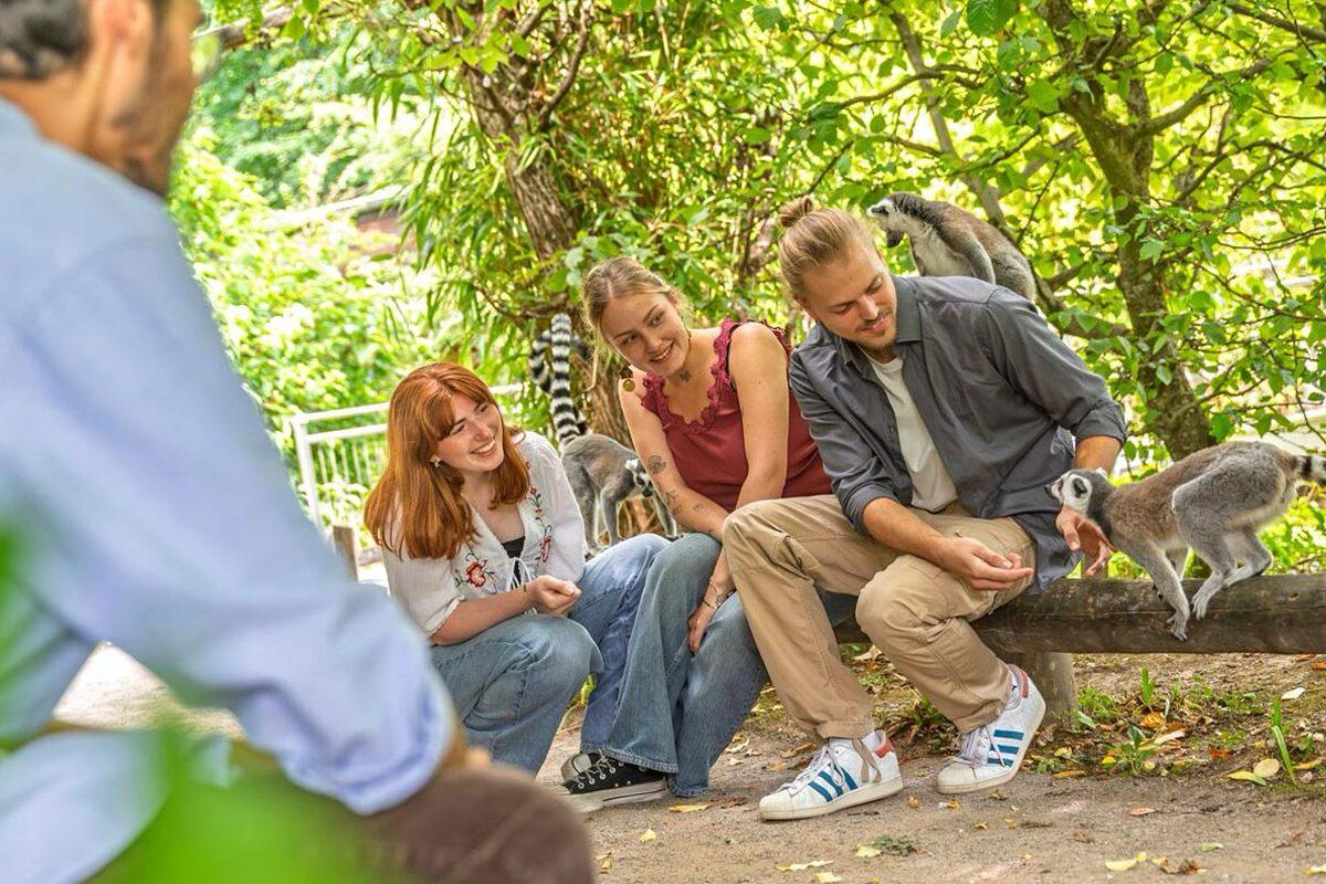 Entreeticket Allwetterzoo Münster