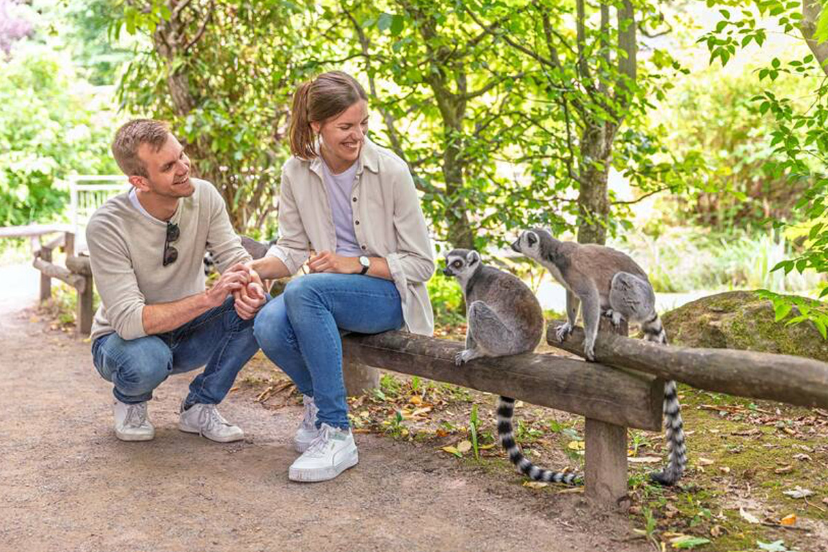 Entreeticket Allwetterzoo Münster