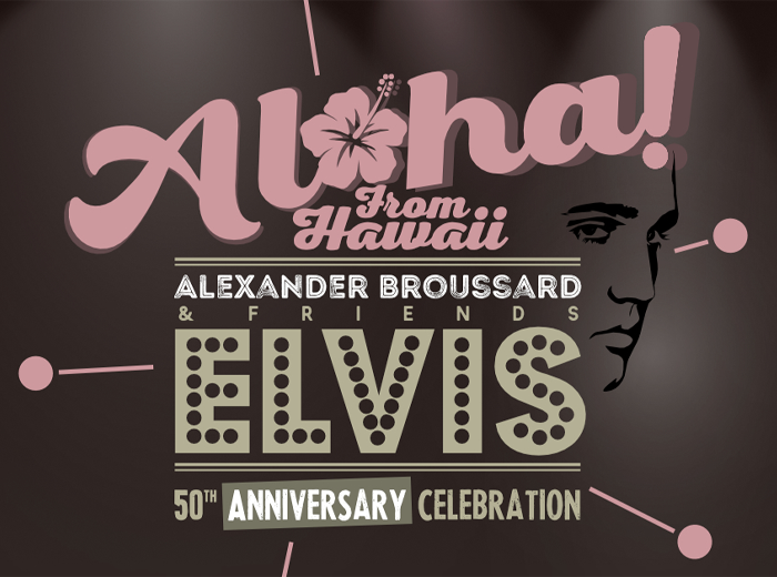 Entreeticket Aloha From Hawaii in Deventer of Nieuwe Niedorp 