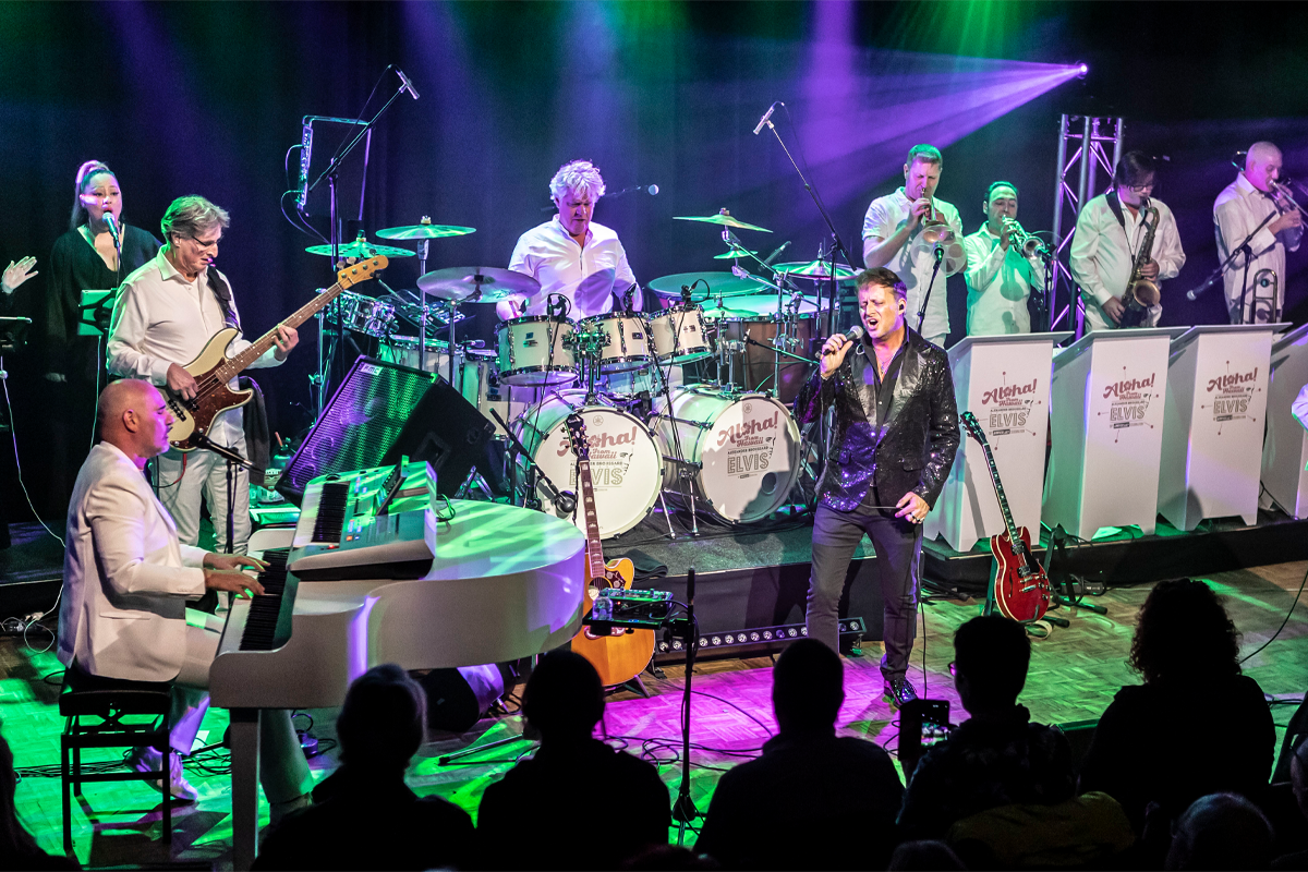 Entreeticket Aloha From Hawaii in Deventer of Nieuwe Niedorp 