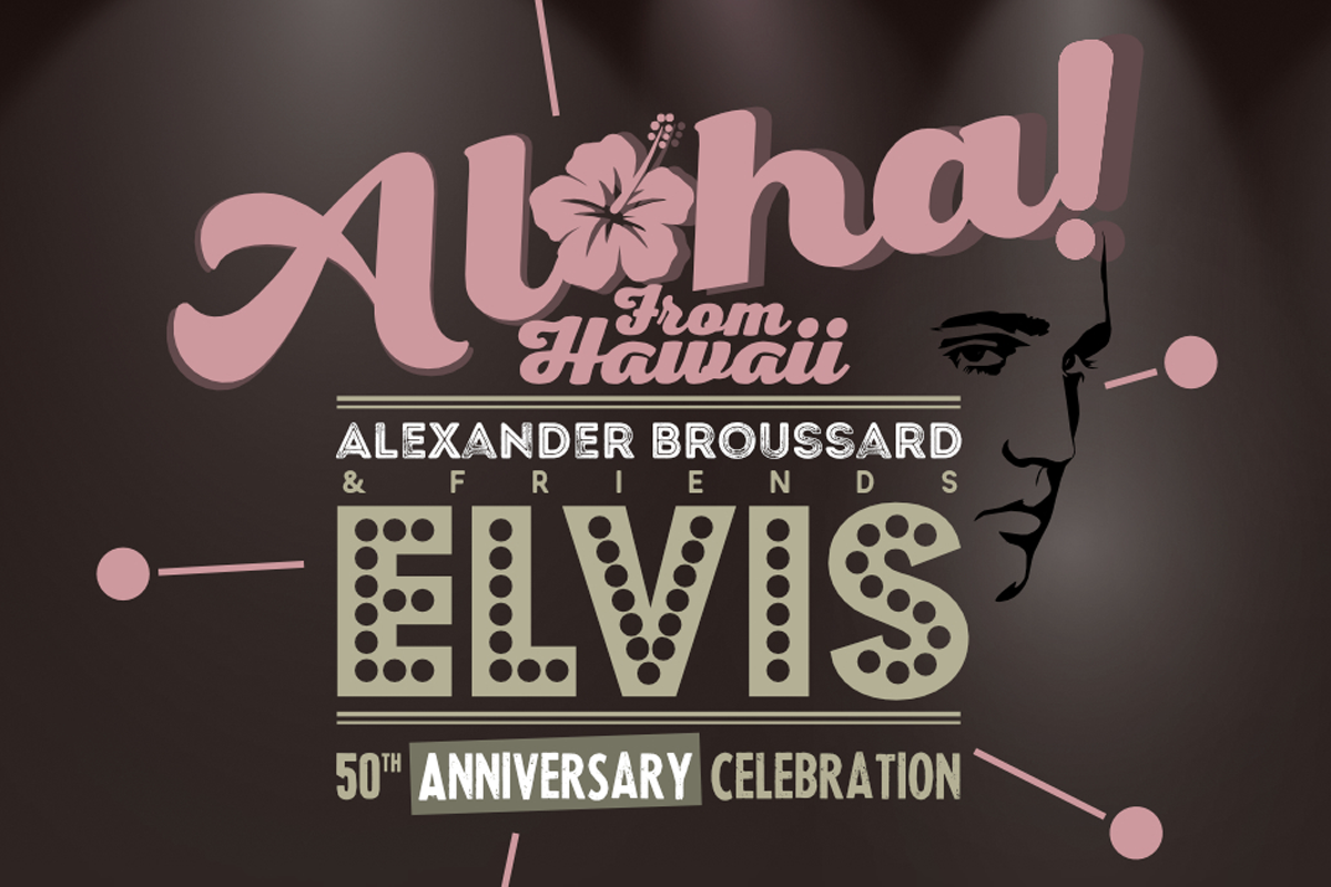 Entreeticket Aloha From Hawaii in Deventer of Nieuwe Niedorp 