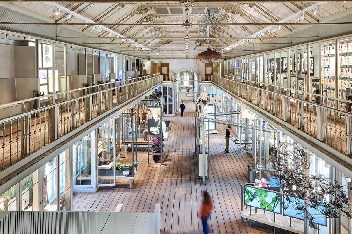 ARTIS-GROOTE MUSEUM Ticket