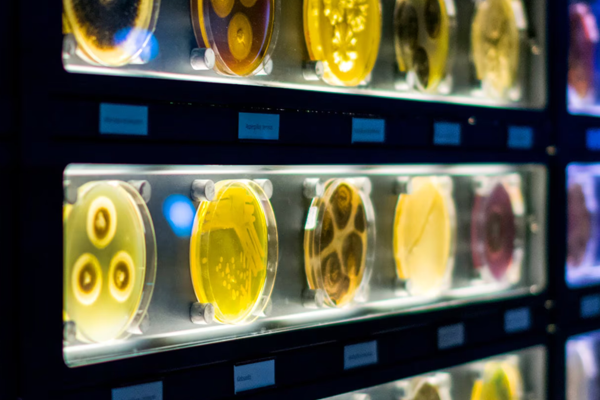 ARTIS-MICROPIA Ticket