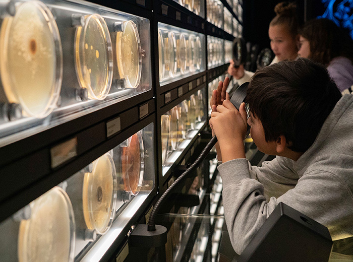 ARTIS-MICROPIA Ticket