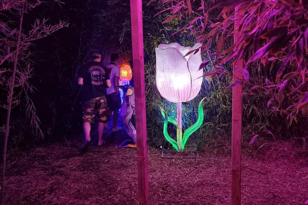 Entreeticket Asian Light & Food Festival