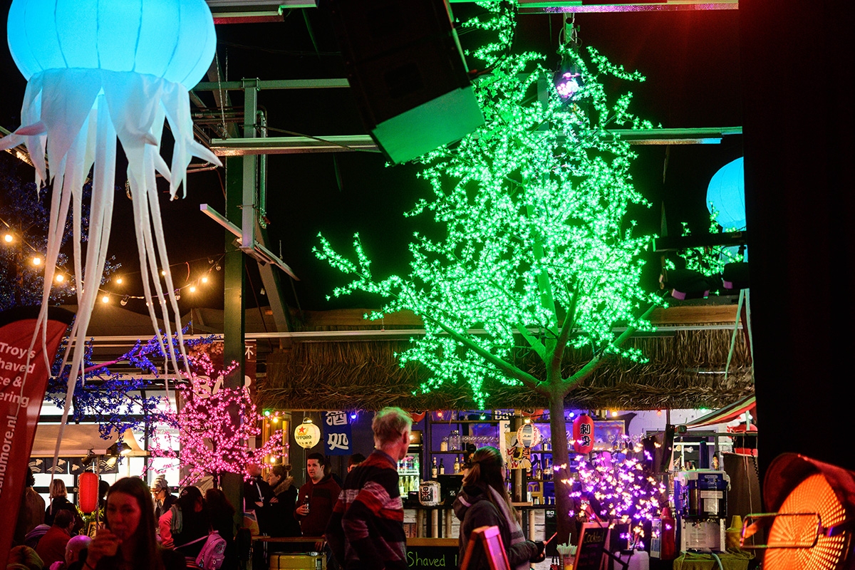 Entreeticket Asian Light & Food Festival