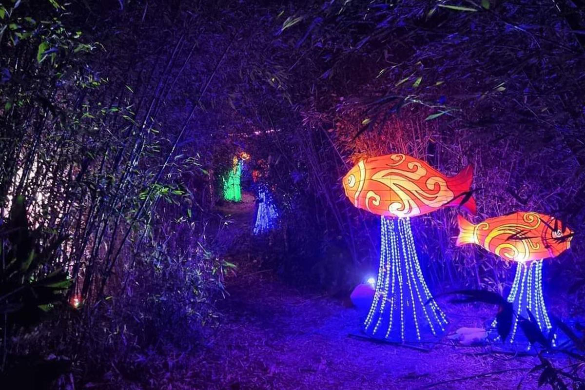 Entreeticket Asian Light & Food Festival