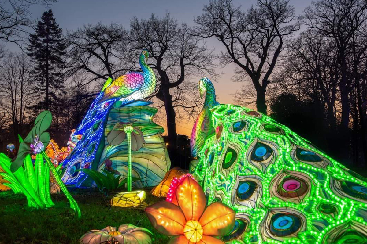 Entreeticket Asian Light & Food Festival