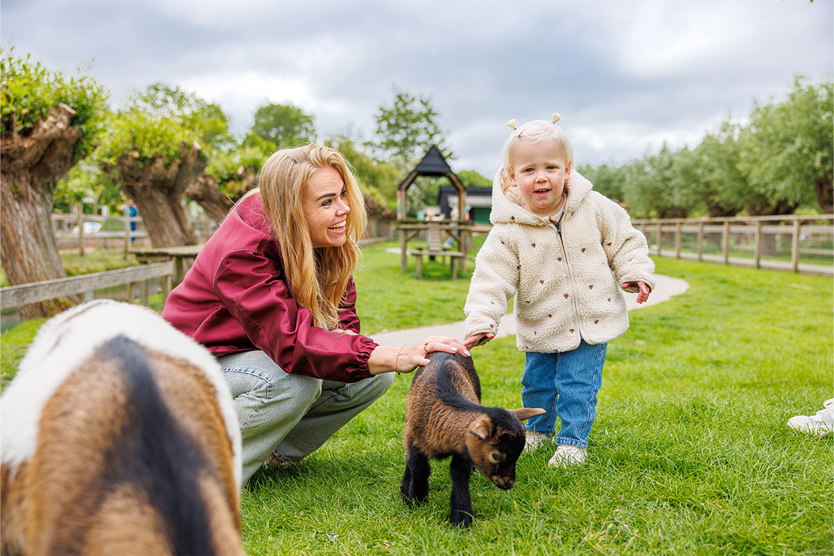 Entreeticket Avonturenboerderij Molenwaard