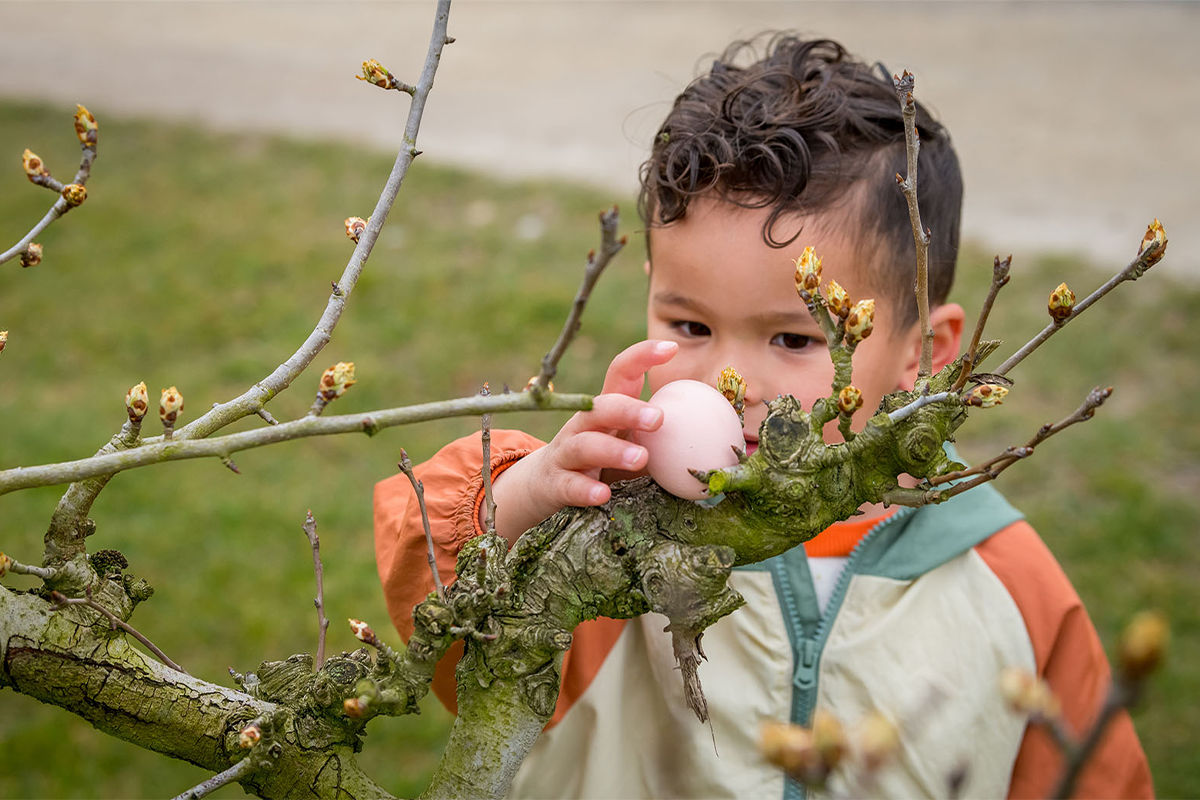 Entreeticket Avonturenboerderij Molenwaard