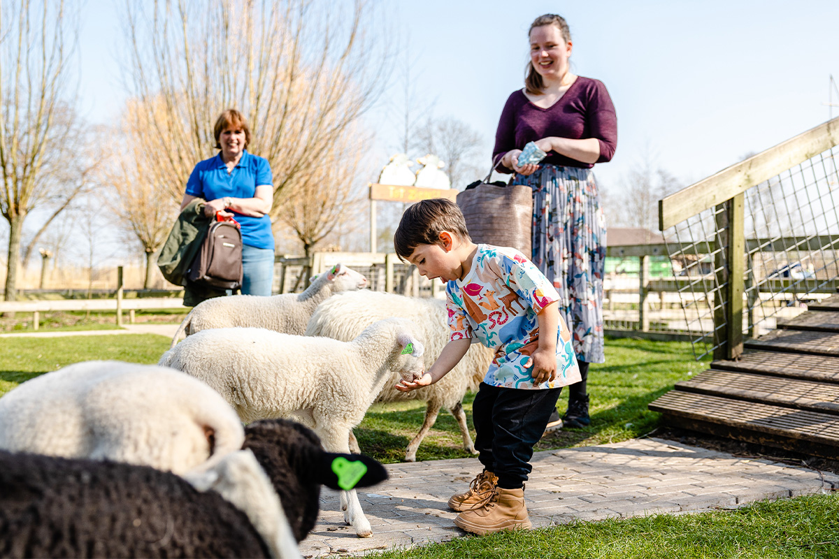 Entreeticket Avonturenboerderij Molenwaard