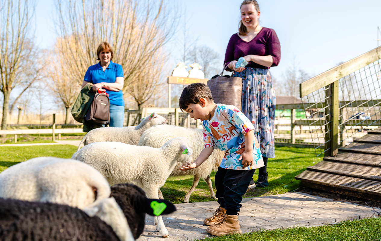 Entreeticket Avonturenboerderij Molenwaard