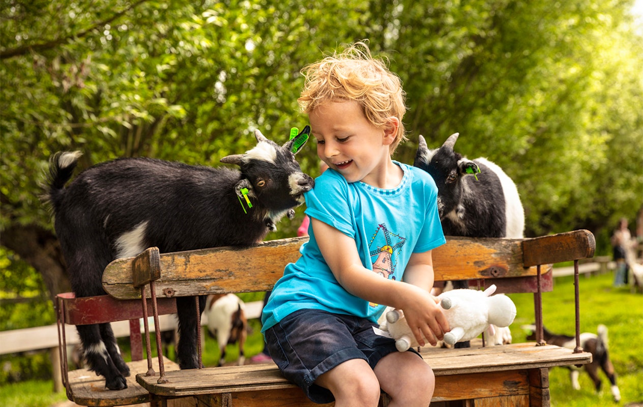 Entreeticket Avonturenboerderij Molenwaard