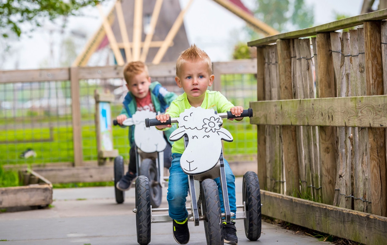 Entreeticket Avonturenboerderij Molenwaard