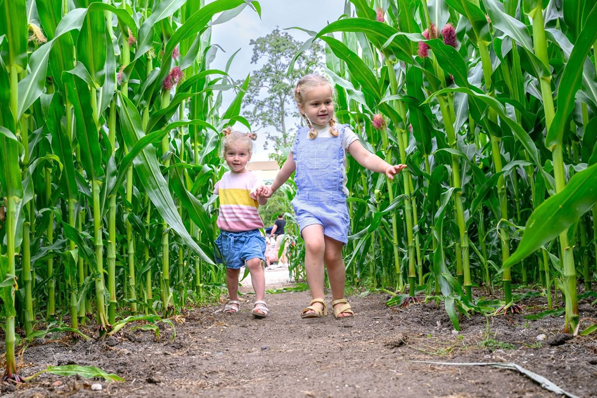 Entrance ticket Adventure Farm Molenwaard