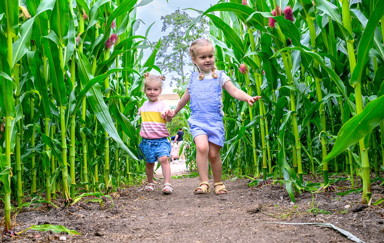 Entreeticket Avonturenboerderij Molenwaard