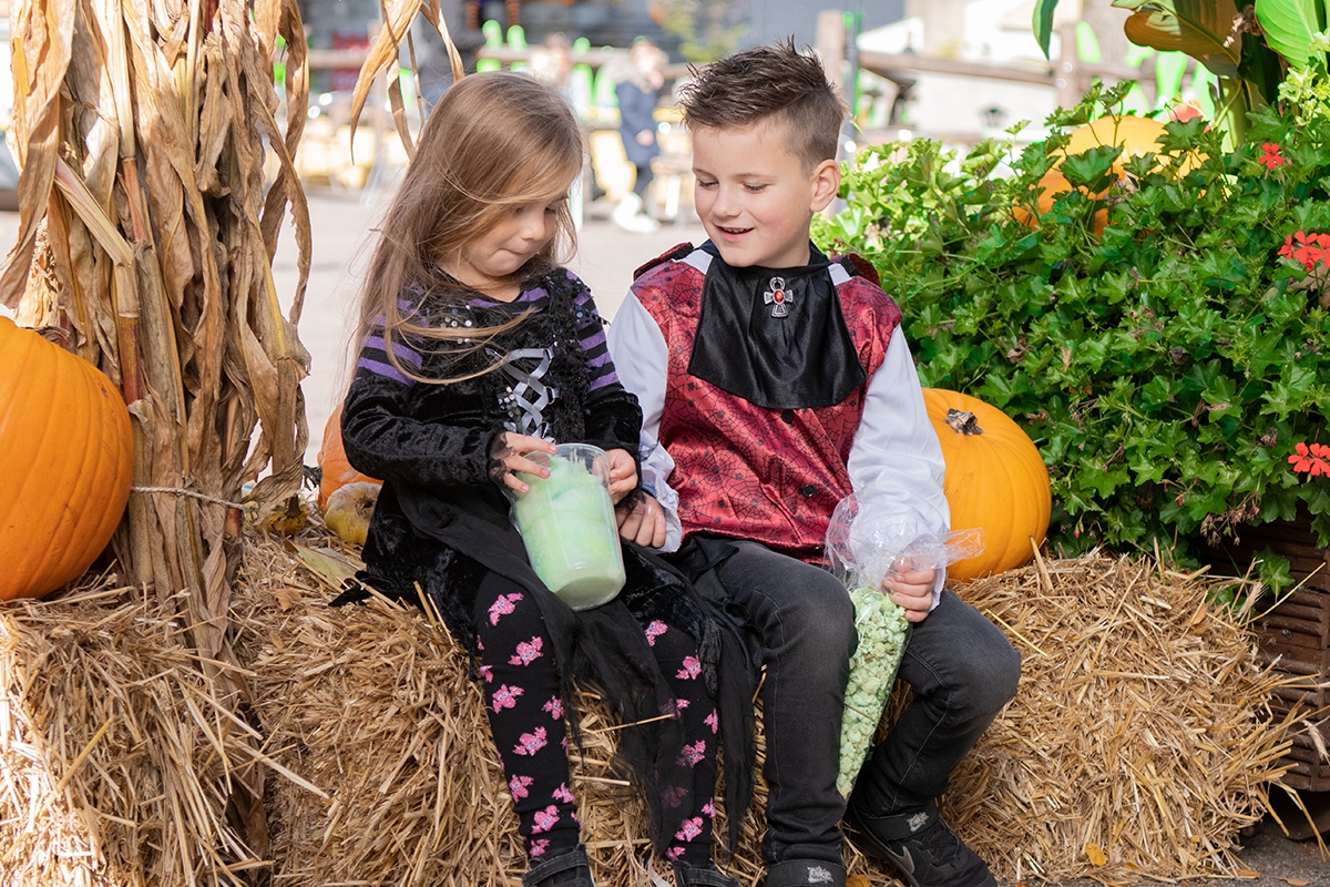 Entreeticket Heksendoorn