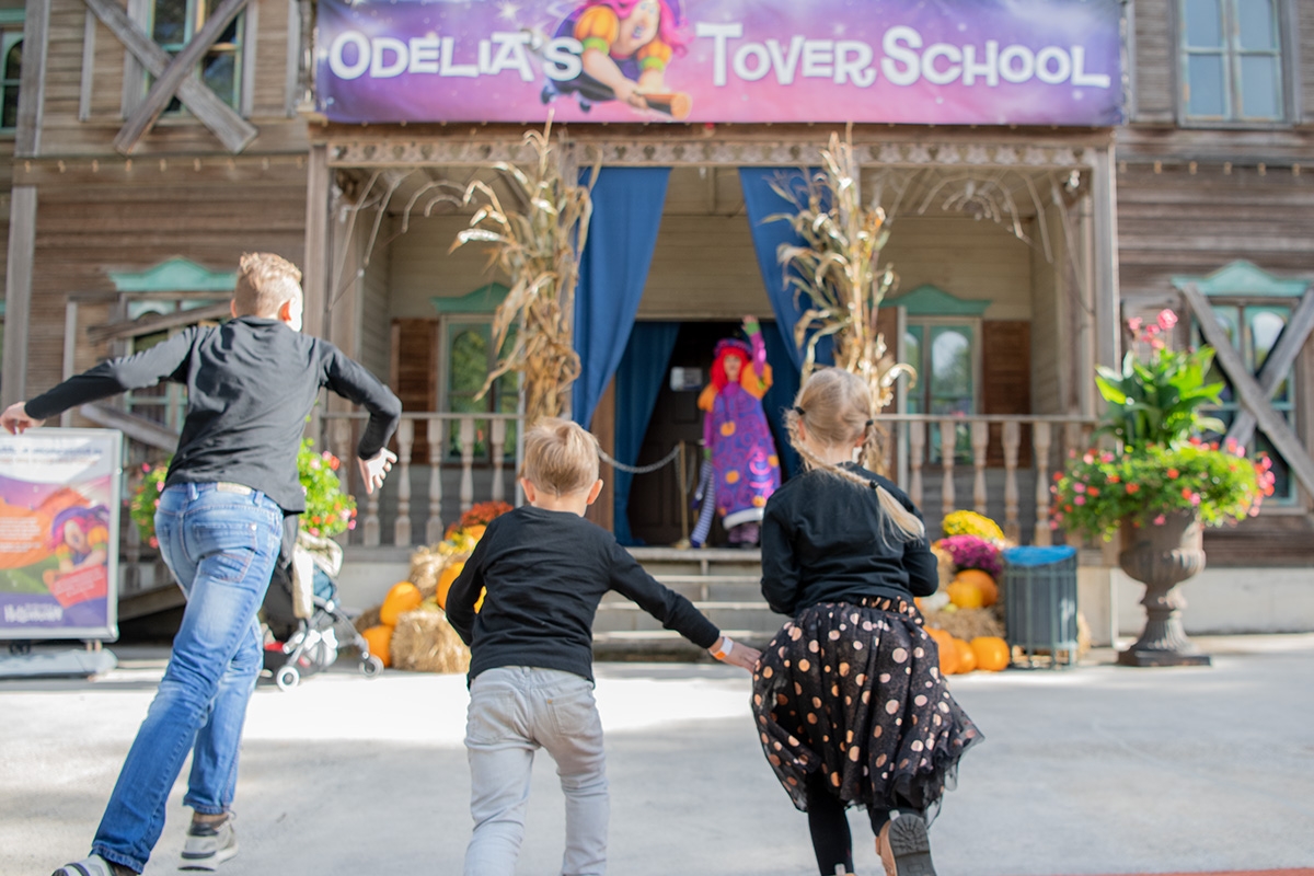 Entreeticket Heksendoorn