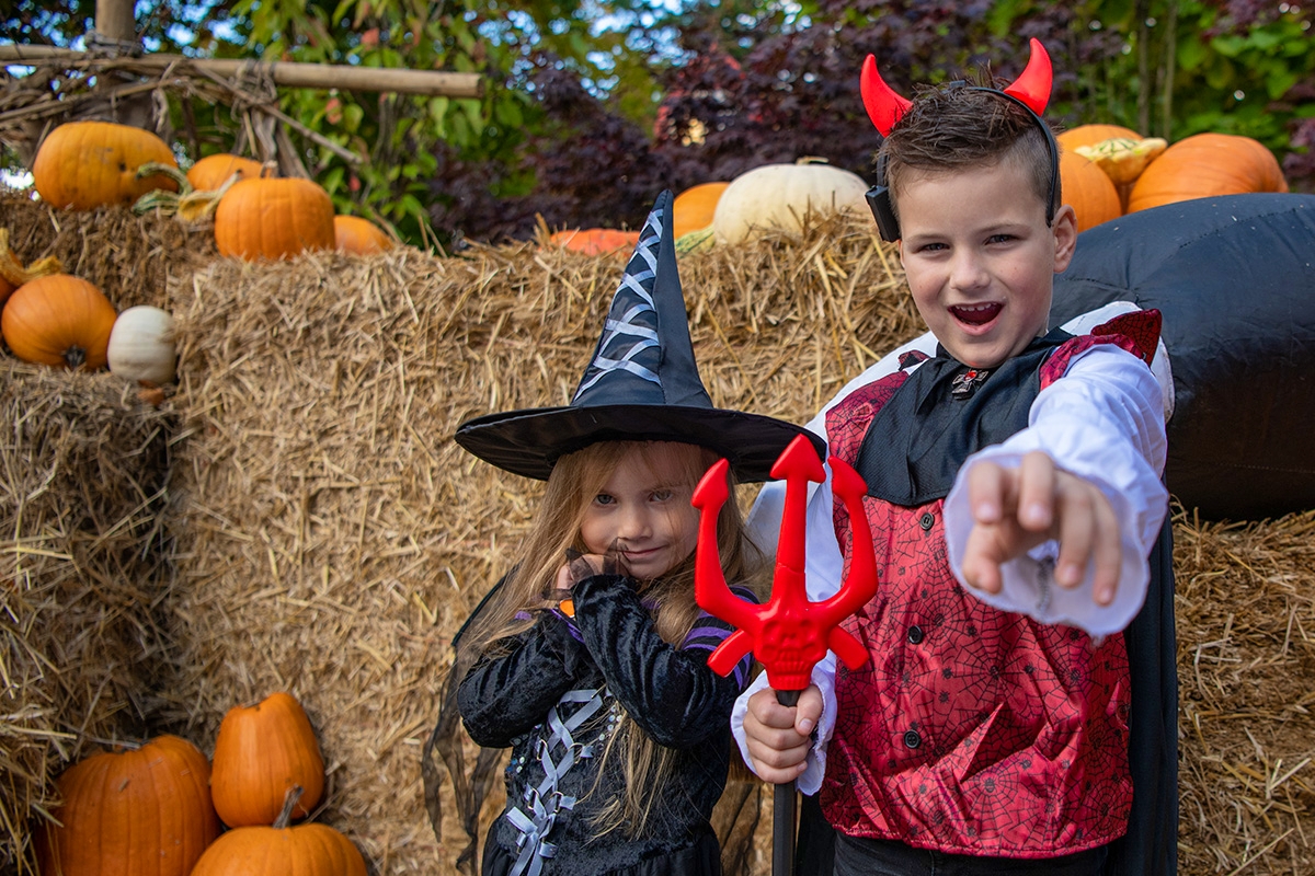 Entreeticket Heksendoorn