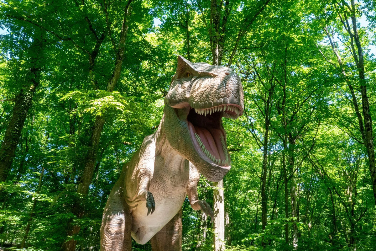 Billet d'entrée Zoo d'Amnéville