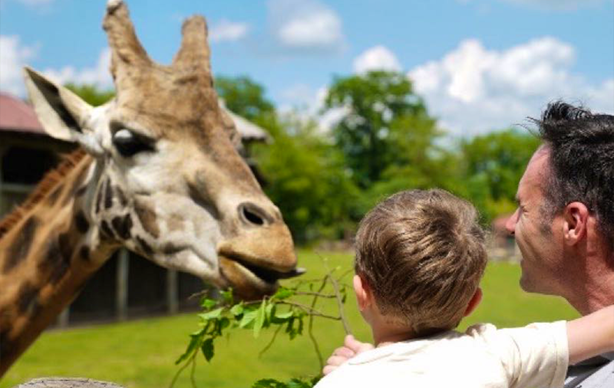 Entreeticket Zoo d'Amnéville