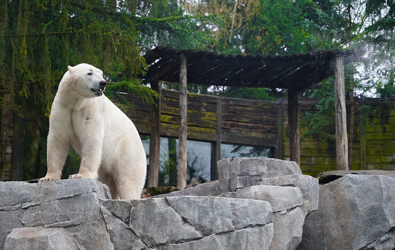 Entreeticket Zoo d'Amnéville