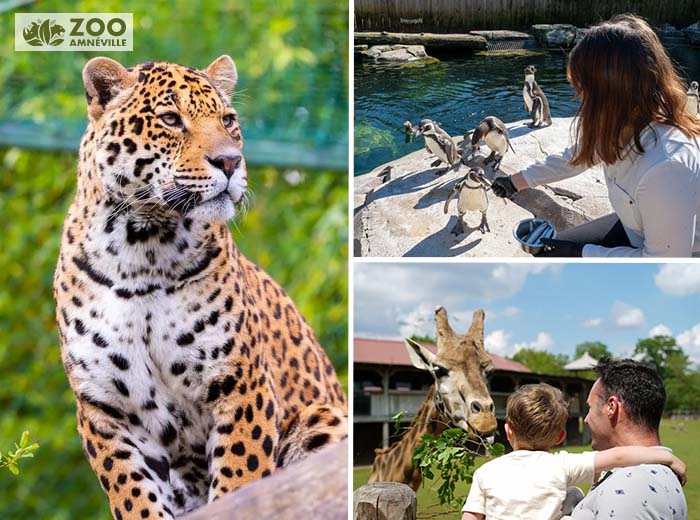 Eintrittskarte Zoo d'Amnéville