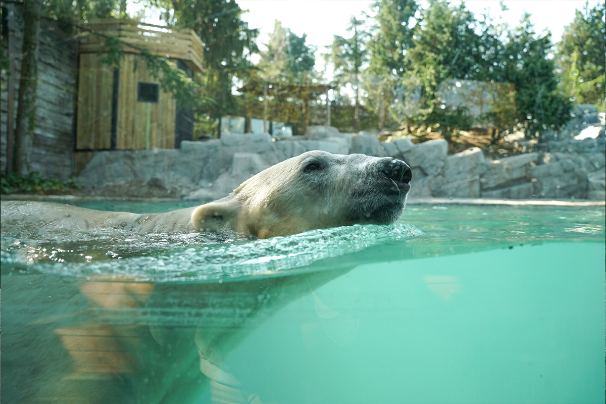 Entreeticket Zoo d'Amnéville